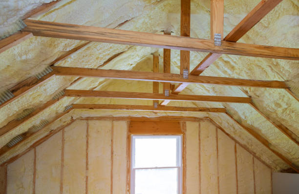 Best Energy Efficiency Insulation in Prairie Du Chien, WI